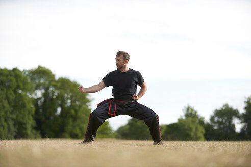 Mann übt Kung Fu im Park - JCF00066