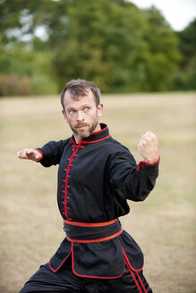 Man practicing Kung Fu in park - JCF00069