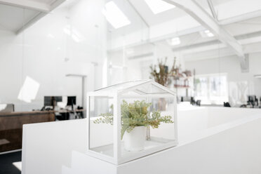 Plant in glass box on railing in office - KNSF02346
