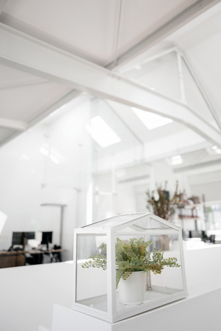 Plant in glass box on railing in office stock photo
