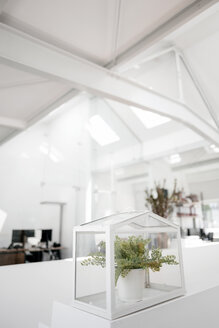 Plant in glass box on railing in office - KNSF02347