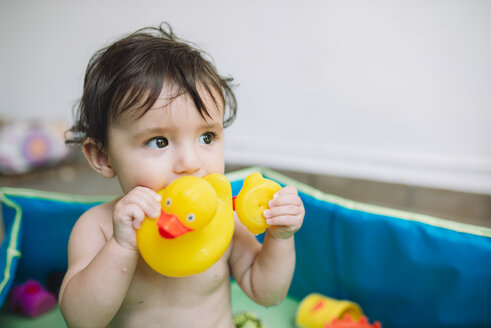 Porträt eines kleinen Mädchens in einem Pool, das mit einer Gummiente spielt - GEMF01752