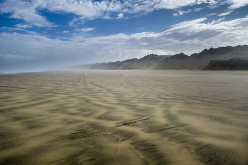 Neuseeland, Nordinsel, Ninety Mile Beach - STSF01286