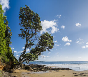 New Zealand, North Island, Matapouri Bay - STSF01291