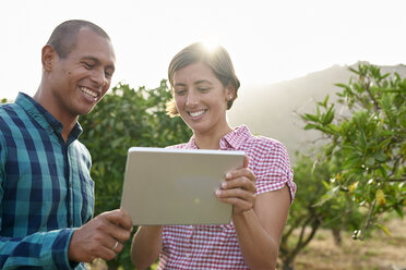 Smiling young couple looking at tablet in an orchard - PACF00067