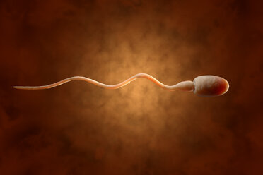 Sperm, 3D Rendering - SPCF00153