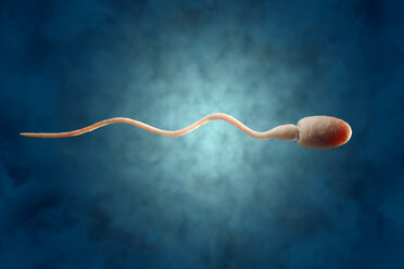 Sperm, 3D Rendering - SPCF00154