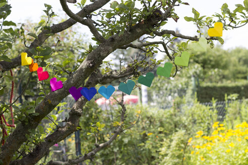 Heart-shaped garland made of paper hanging in garden - CMF00706