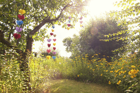 Heart-shaped garland made of paper hanging in garden - CMF00707