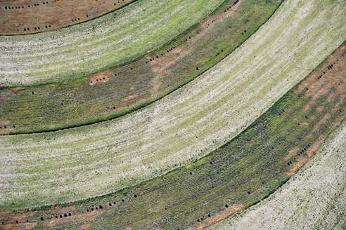 Aerial photograph of contour farming after harvest in Western Nebraska - BCDF00312