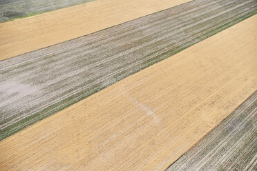 USA, Aerial photograph of contour farming after harvest in Western Nebraska - BCDF00316