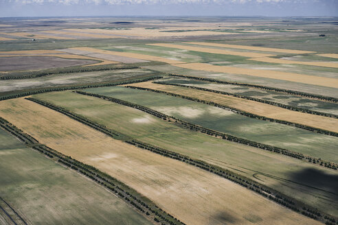 USA, Landwirtschaftliche Felder mit Baumschonstreifen im westlichen Nebraska - BCDF00318