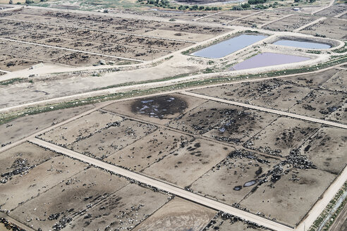 USA, Luftaufnahme eines Futterplatzes für Rinder in der Nähe von Greeley, Colorado - BCDF00326