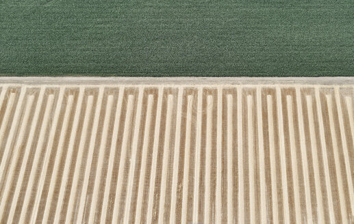 USA, Luftaufnahme eines abgeernteten Feldes neben einem Maisfeld - BCDF00327