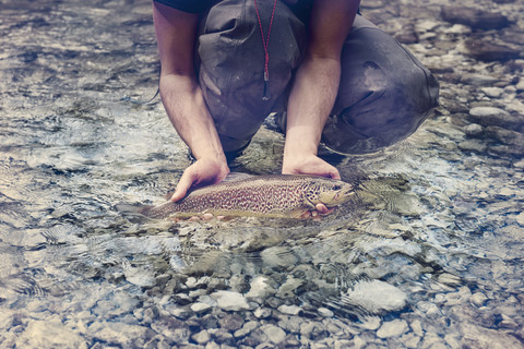 Slowenien, Mann beim Fliegenfischen im Soca-Fluss beim Fangen eines Fisches, lizenzfreies Stockfoto