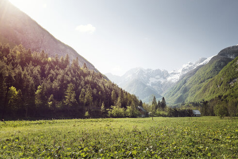 Slowenien, Bovec, Landschaft am Fluss Soca - BMAF00333