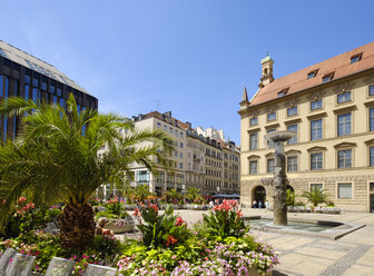 Germany, Bavaria, Munich, palm trees in pedestrain area - SIEF07479