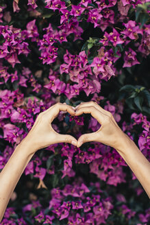 Die Hände einer Frau formen ein Herz vor rosa Blüten - JPF00271