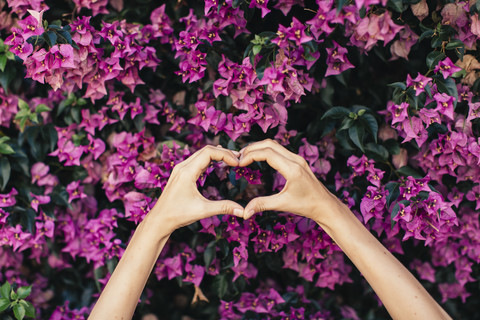 Die Hände einer Frau formen ein Herz vor rosa Blüten, lizenzfreies Stockfoto