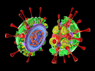 Influenza-Virus, 3D-Rendering - SPCF00157