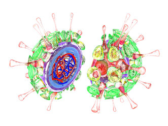 Influenza-Virus, 3D-Rendering - SPCF00158