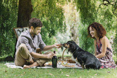 Ehepaar mit Hund beim Picknick im Park, lizenzfreies Stockfoto