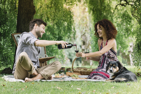 Ehepaar mit Hund beim Picknick im Park und Rotwein, lizenzfreies Stockfoto