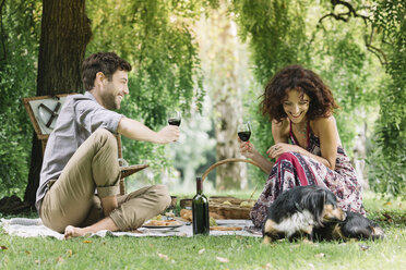 Couple with dog having a picnic in a park drinking red wine - ALBF00162