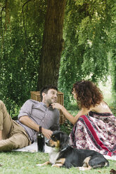 Ehepaar mit Hund beim Picknick im Park - ALBF00165