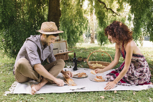 Glückliches Paar beim Picknick in einem Park - ALBF00168