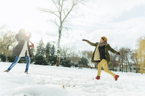 Freunde machen eine Schneeballschlacht im Schnee - ZEDF00818