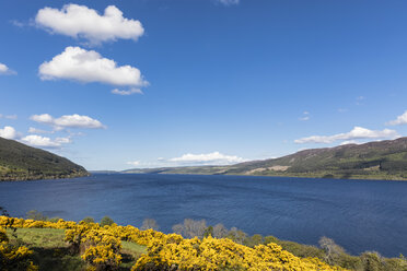 UK, Scotland, Loch Ness, Drumnadrochit - FOF09279