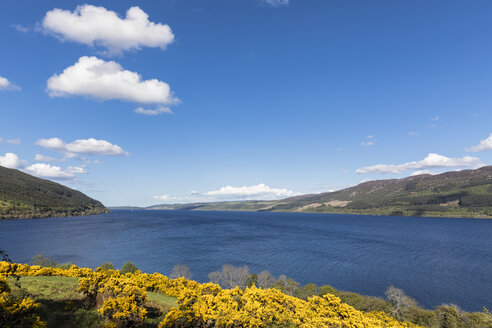 UK, Schottland, Loch Ness, Drumnadrochit - FOF09279