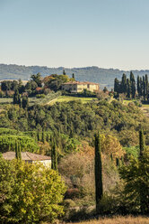 Italy, Tuscany, cultural landscape with pine trees and cypresses - CSTF01349