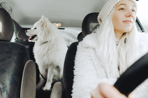 Weiß gekleidete junge Frau fährt Auto mit weißem Hund auf dem Rücksitz, lizenzfreies Stockfoto