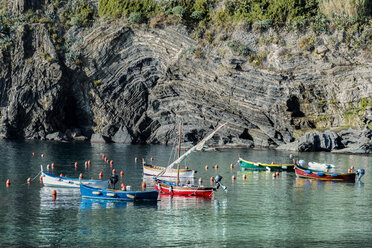 Italien, Ligurien, Cinque Terre, Bucht von Vernazza - CSTF01389