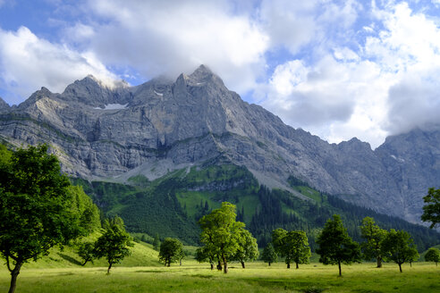 Österreich, Tirol, Karwendel, Rißtal, Eng, Ahornboden, Ahornbäume - LBF01631