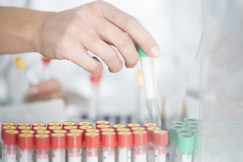 Close-up of lab technician taking test tube from rack in laboratory - ZEF14502
