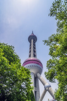 China, Shanghai, Orientalischer Perlenturm - THAF01971