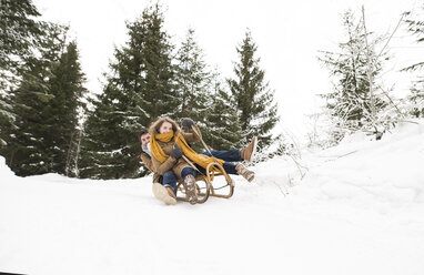 Glückliches junges Paar auf Schlitten im Winterwald - HAPF02044