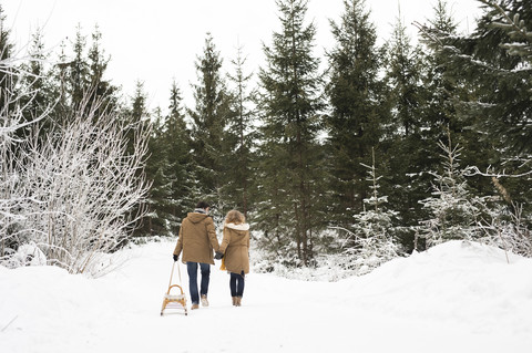 Rückenansicht eines jungen verliebten Paares mit Schlitten im Winterwald, lizenzfreies Stockfoto