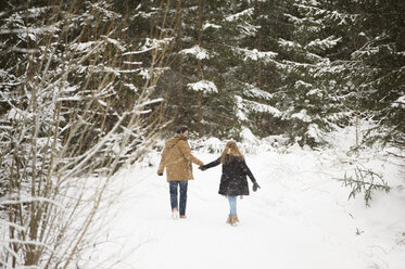 Rückenansicht eines jungen Paares, das Hand in Hand in einer Winterlandschaft spazieren geht - HAPF02083