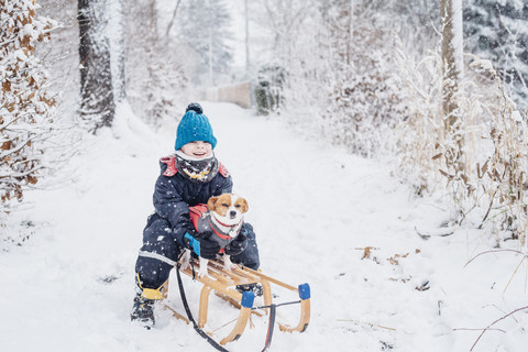 Little boy with his dog on a sledge in snow stock photo