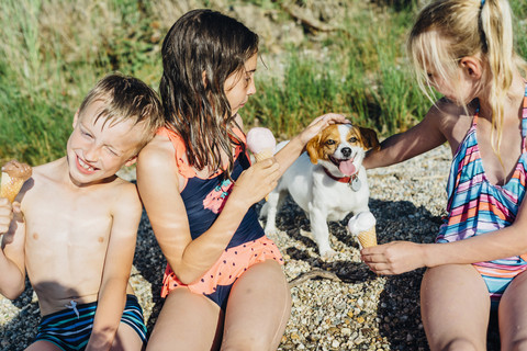 Three children eating icecream and playing with dog on the beach stock photo