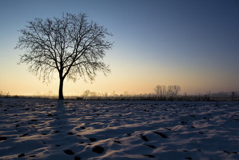 Italien, Piemont, ländliche Landschaft im Winter zur blauen Stunde - SIPF01662