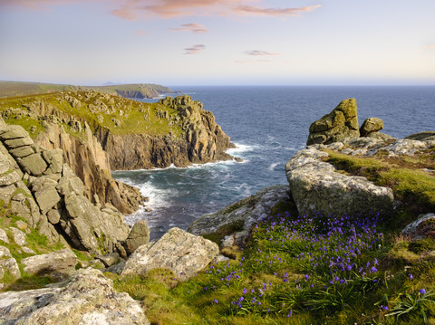 UK, England, Cornwall, Land's End, Bluebell an der Steilküste, lizenzfreies Stockfoto
