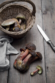 Steinpilz und Portobello-Pilz im Weidenkorb - CZF00306