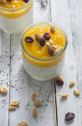 Glass of natural yoghurt with chia, mango mush garnished with almonds, peanuts, walnuts and cranberries - ODF01539