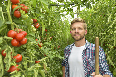 Porträt eines Gärtners zwischen Tomatenpflanzen im Gewächshaus - LYF00788