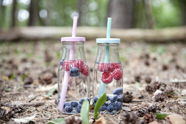 Zwei Gläser Wasser mit Heidelbeeren und Himbeeren im Wald - MFRF00981